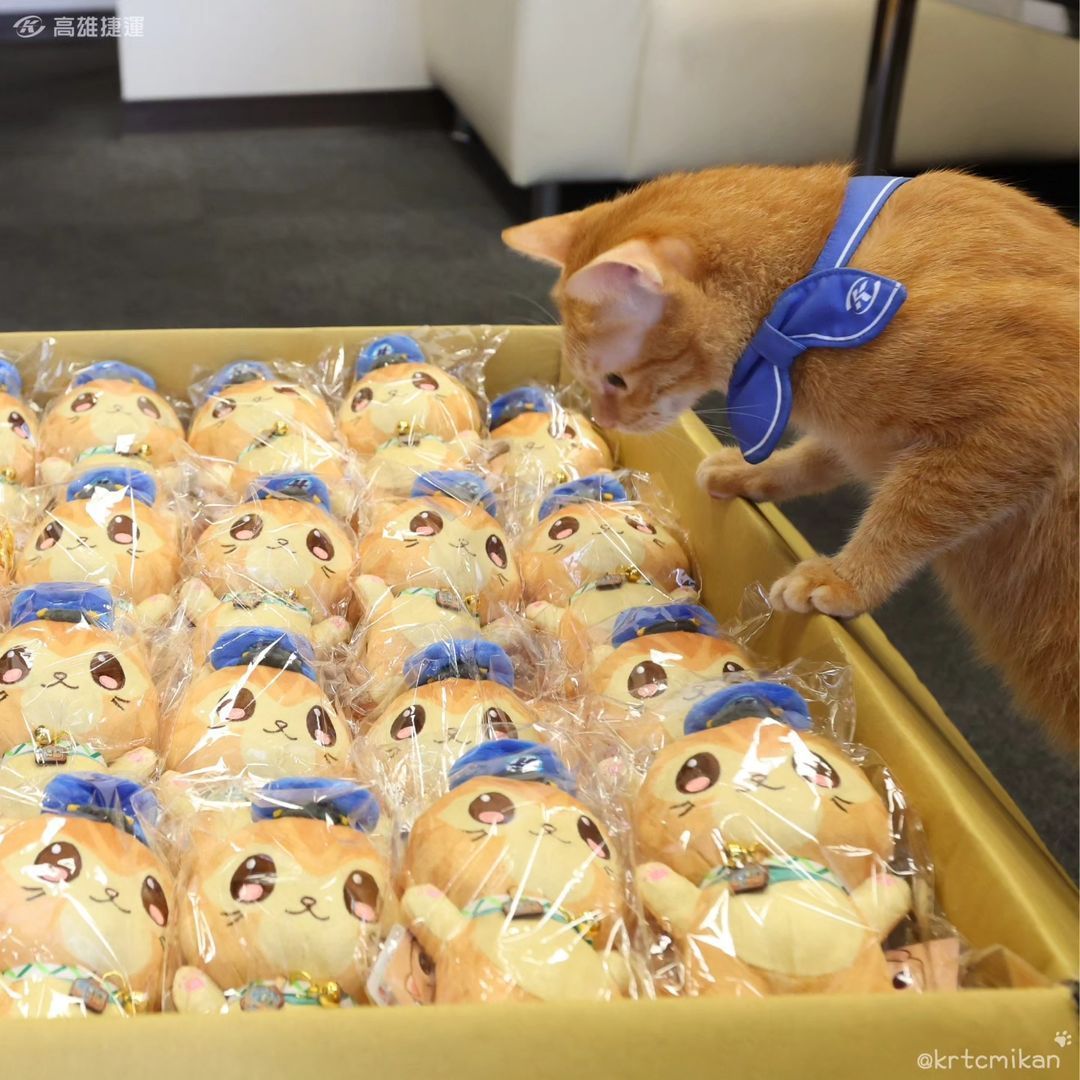 Station master Mikan inspects his merch.