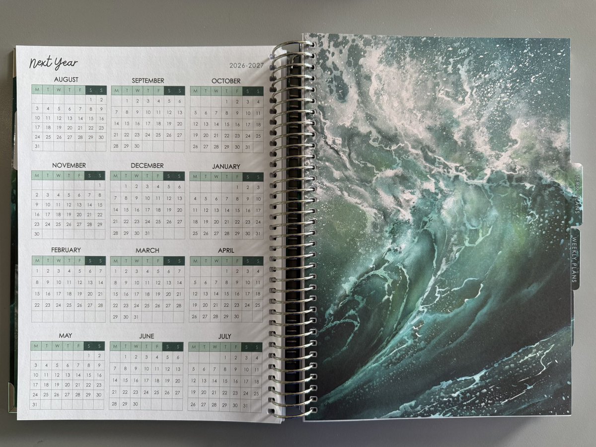 They’ve done it again! <a href="/TPositiveTC/">Positive Teacher Co.</a> never fails to disappoint. Can’t wait to use my new planner next year 😍🥰