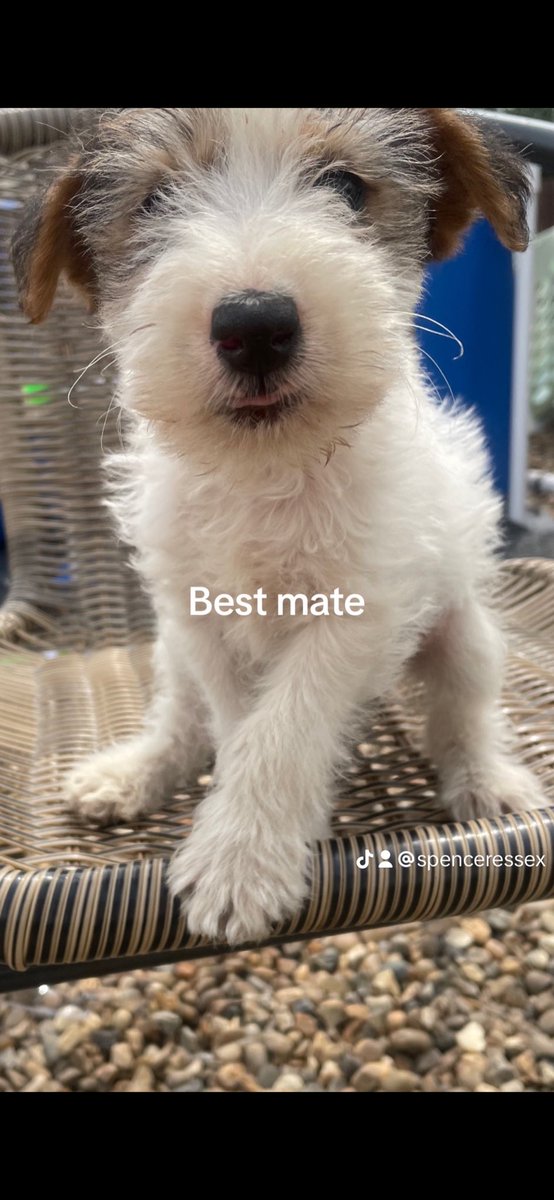 Spencer plenty (@spencerplenty) on Twitter photo 