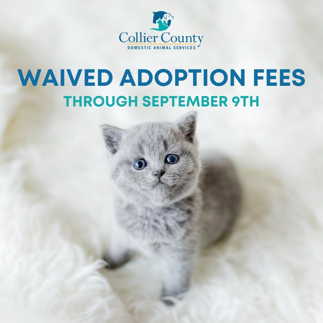 Collier County Government tweet media