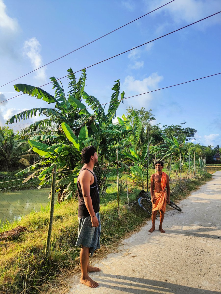 11 KV electric wire is nearly 7 feet above the public road &amp; 2 adjacent electrical poles are at a distance of about 50 meters.
 
Near Dhala Sahi, 
Village - Chhayalia, 
Sub division - Langaleswar (Jamsuli Section), Basta, Baleshwar 

Sripati Dhal (Resident)
7978872411