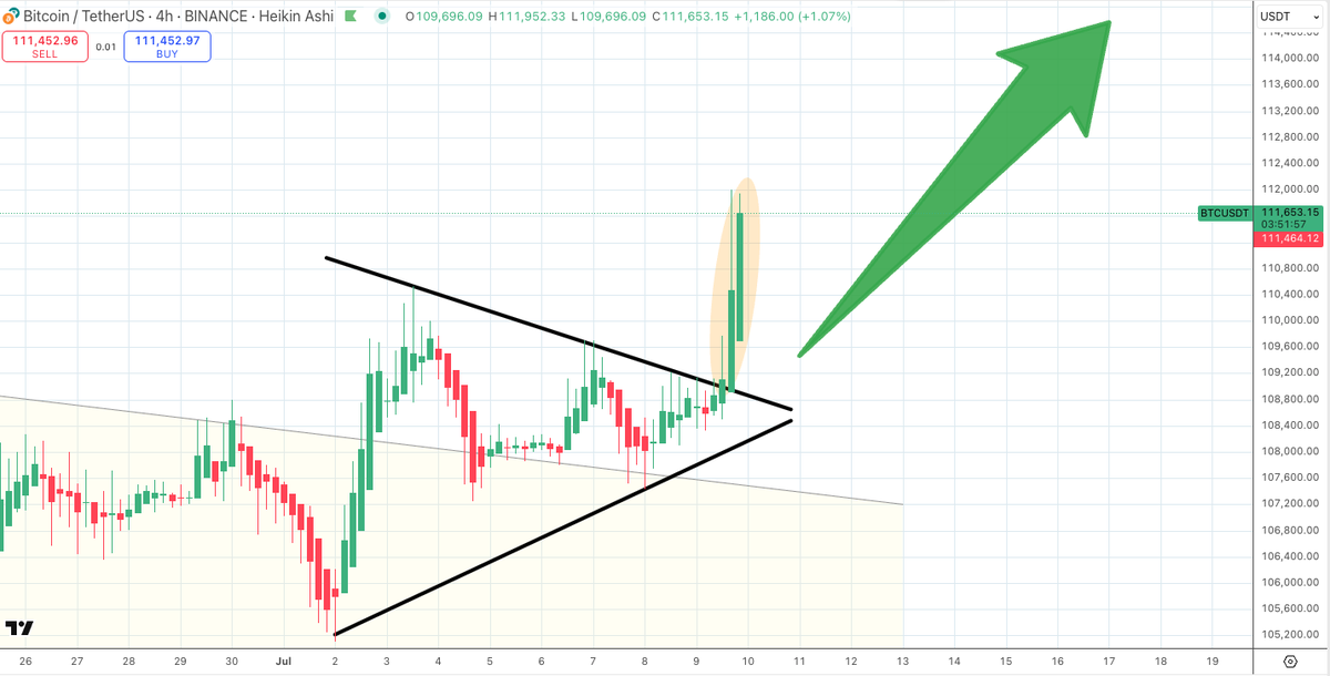 Satoshi Flipper tweet media