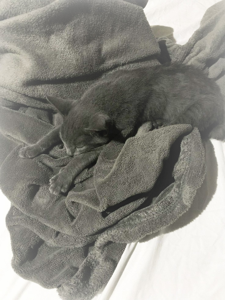 fkvana's tweet image. ⠀⠀ㅤ ⠀⠀ㅤ⠀⠀ㅤ⠀⠀ㅤ⠀⠀ㅤ⠀⠀ㅤ⠀⠀ㅤ⠀⠀ㅤ⠀   
 ⠀— ၄၃ se toma muy enserio ser uno mismo con su entorno, la amo aunque me mire feo 😪
⠀⠀ㅤ⠀⠀ㅤ⠀⠀ㅤ⠀⠀ㅤ⠀⠀ㅤ⠀⠀ㅤ⠀⠀ㅤ⠀⠀ㅤ⠀⠀ㅤ