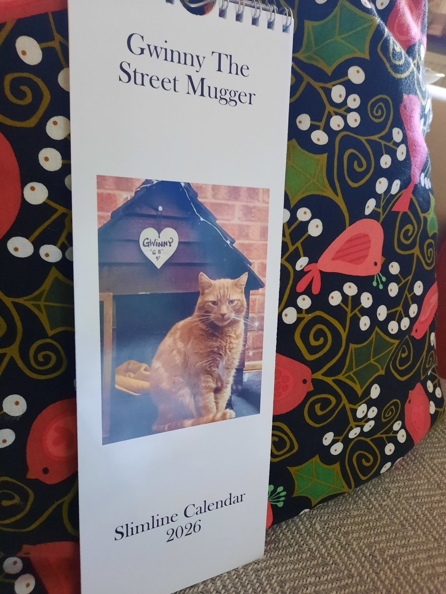 Alyson Meadowcroft, in memory of Macey, RIP 🌈. (@alysonmeadowcr1) on Twitter photo Look what was in my mail today!
My first 2026 calendar and it's the gorgeous Gwinster🧡🐈🐾
<a href="/FcJunction/">FC Of Stourbridge Junction</a> Look what was in my mail today!
My first 2026 calendar and it's the gorgeous Gwinster🧡🐈🐾
<a href="/FcJunction/">FC Of Stourbridge Junction</a>