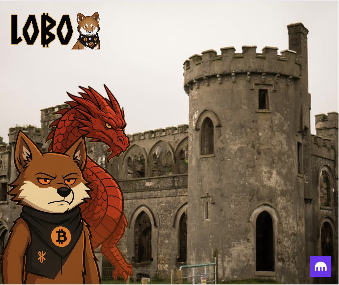 Lobo_Pieralini's tweet photo. 🐉 The dragon guards the ancient secrets.
Lobo prepares for what’s to come.
A story written in runes.
@arjunsethi @lobothewolfpup
#Bitcoin #Web3 #Runes #WolfLegends #RuneGuardians $LOBO https://t.co/8RBnhEhu23