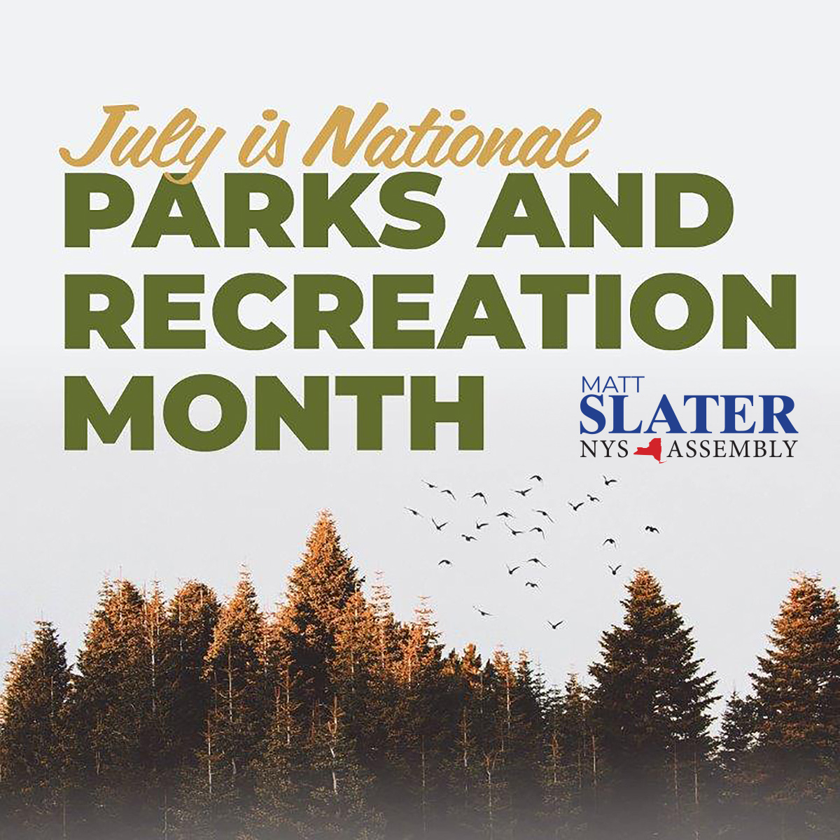 This year is the 40th anniversary of Parks and Recreation Month! While we don’t have a national park in the 94th District, we’re fortunate to have access to incredible outdoor spaces like Clarence Fahnestock, FDR, and Hudson Highlands State Parks as well as countless beautiful