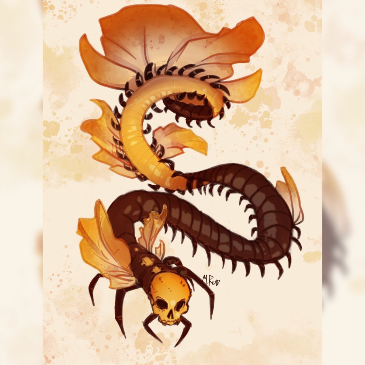had a dream a skull-faced centipede crawled out of a fish tank 
Woke uo be fore it did anything.
Looked cool though

#CreatureDesign #DigitalArt #MonsterDesign #DreamDoodles