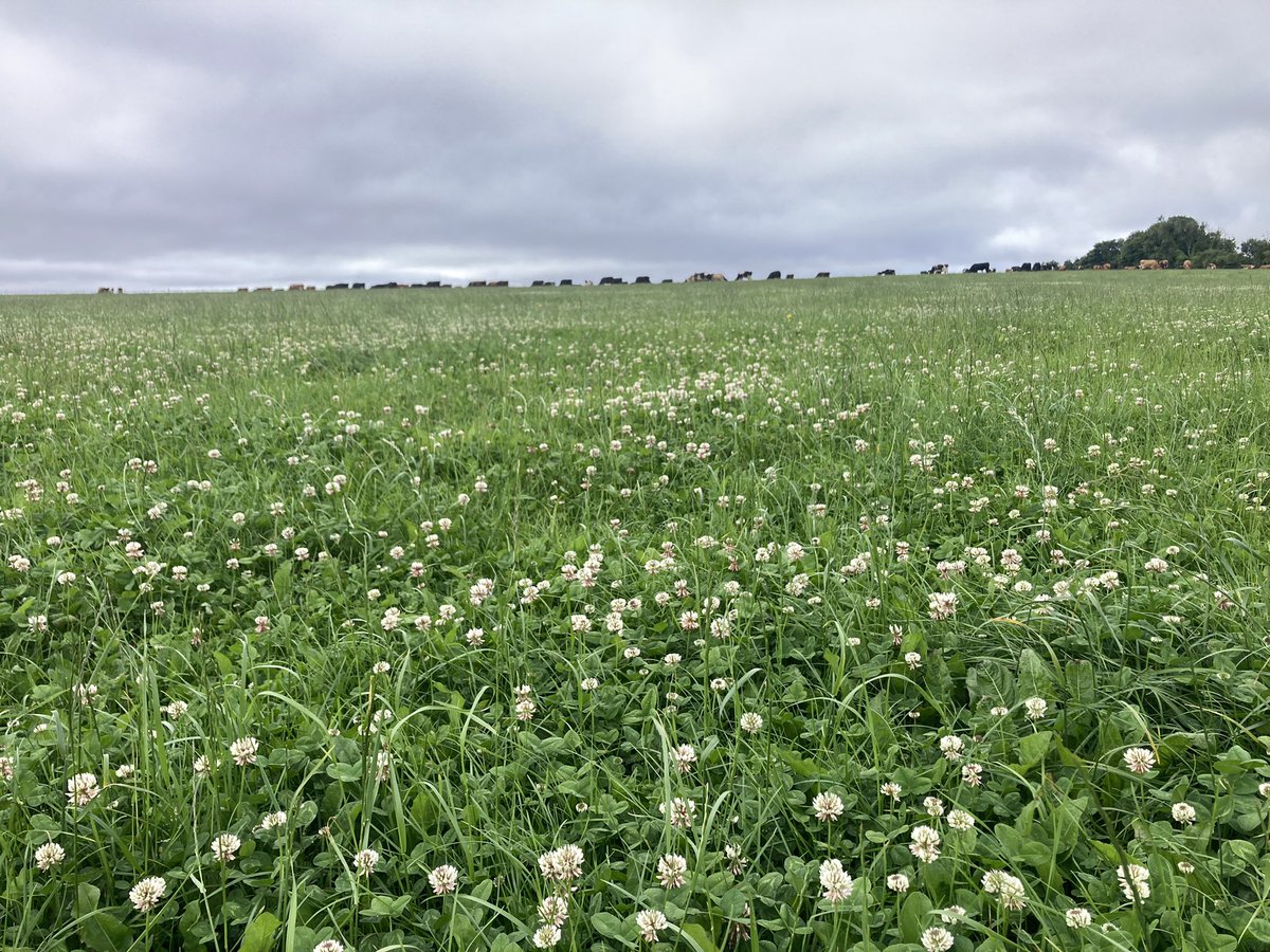 sprinkles785's tweet image. Reseeded 1/10/2010….. still doing the biz 💪🏻💪🏻….