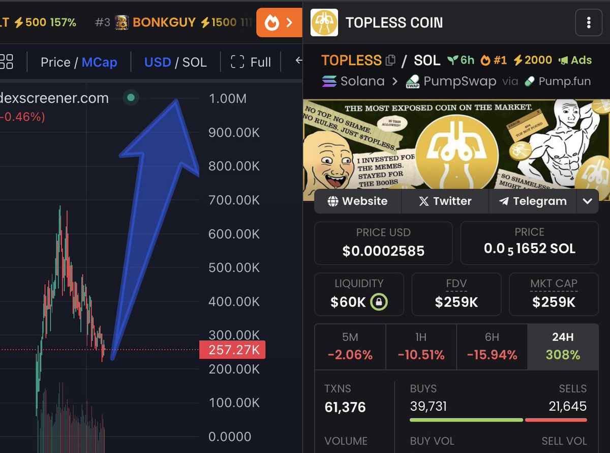 TOPLESS COIN tweet media