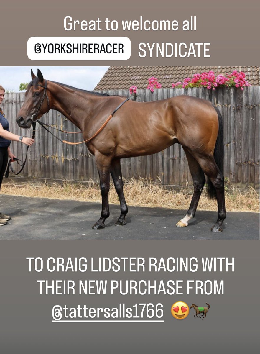 Welcome to Craig Lidster Racing 🐎🙌