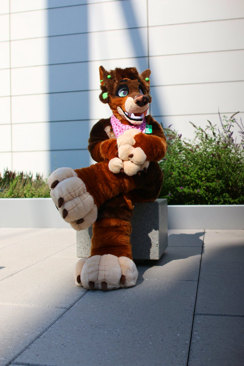 Cursed_Gabriel's tweet photo. @RonniePawbucks showing off his brand new suit of his character fin @anthrocon 

📷: @Cursed_Gabriel 
🎉: #anthrocon2025 
🧵: @PlaidPawsMaus https://t.co/6C19GbVNED