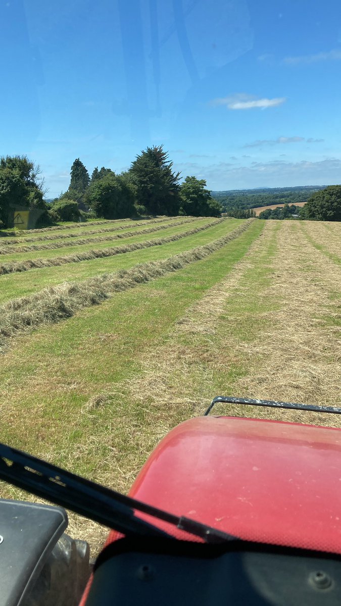 sprinkles785's tweet image. A bit of haylage today and 4 bales of hay (for emergencies )…. Bottom 2 pic from same field 😁….