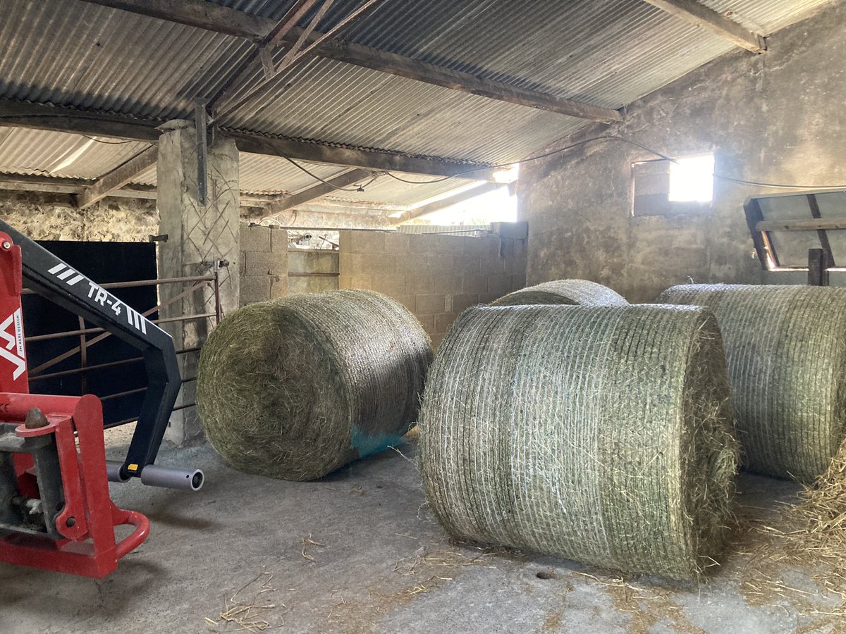 sprinkles785's tweet image. A bit of haylage today and 4 bales of hay (for emergencies )…. Bottom 2 pic from same field 😁….