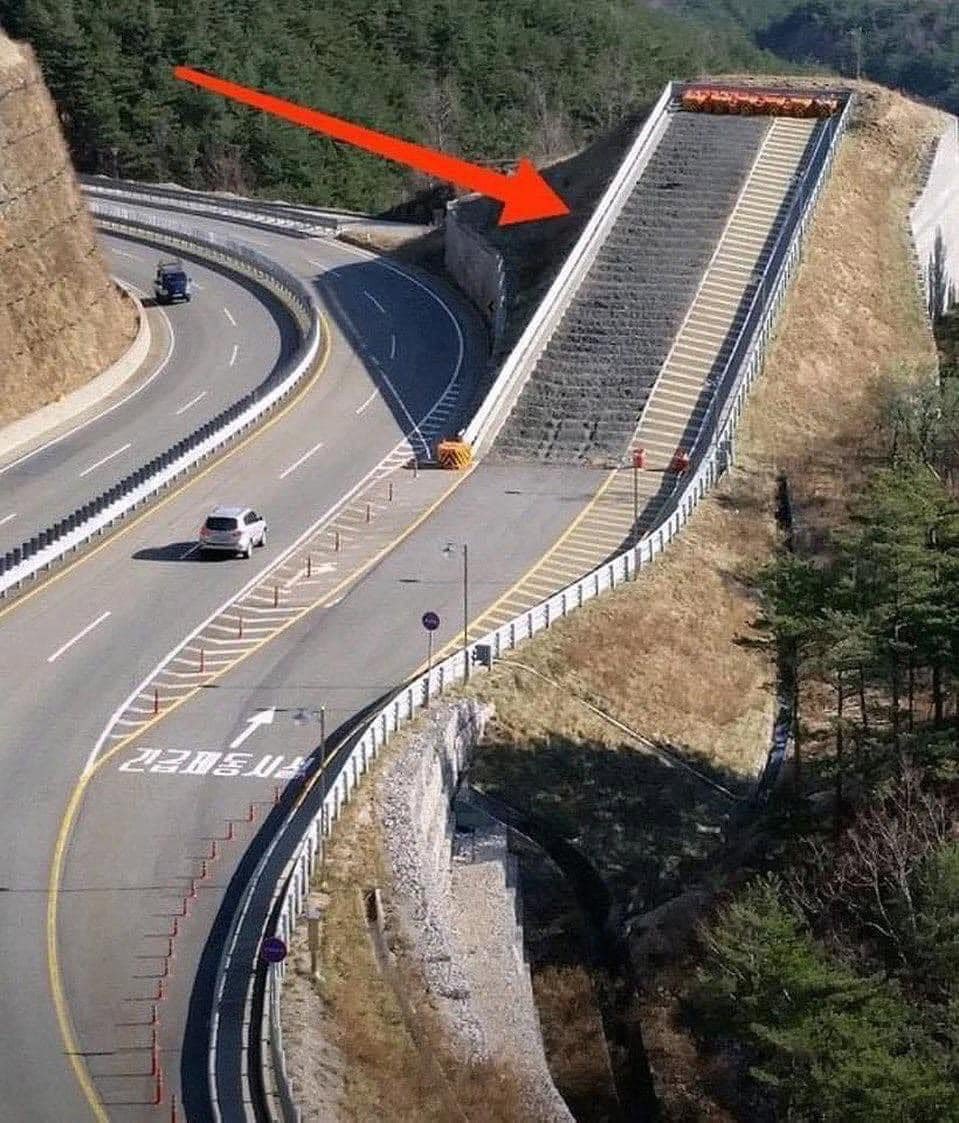 Who knows what this is used for?
🤔🤔