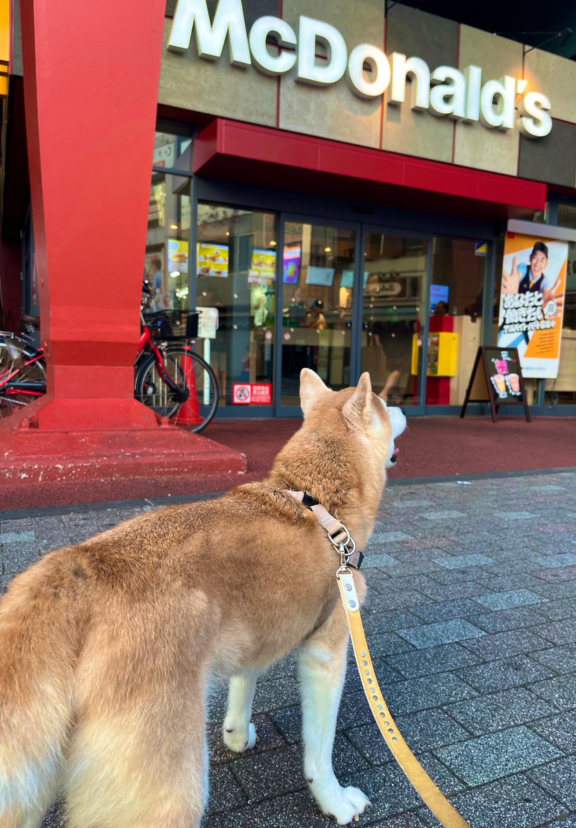 朝マックする？