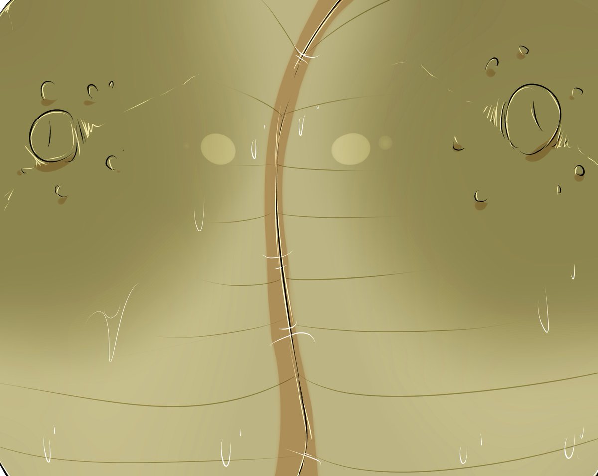 "make them bigger" 

okay bro here is your picture go crazy