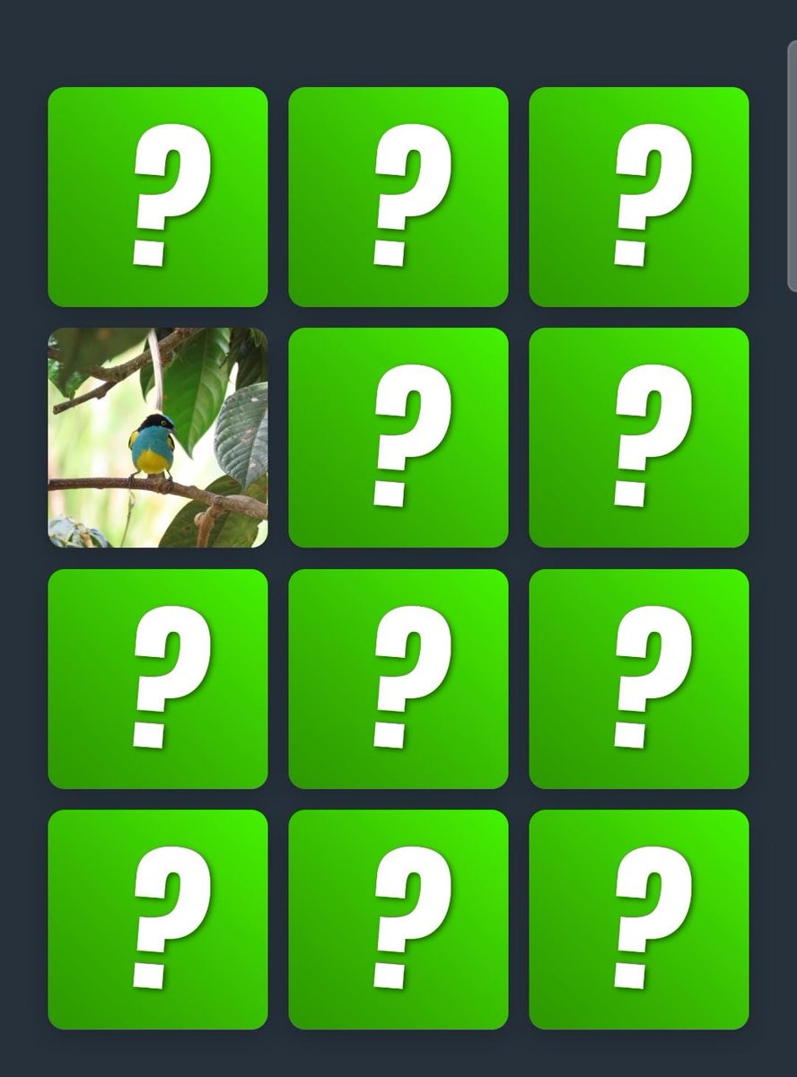 🧠✨ ¿Cómo está tu memoria? Pon a prueba tus habilidades para encontrar las parejas de aves de Colombia 🐦🇨🇴, #ElPaísDeLaBelleza 🌸, en este divertido juego 🎮.

Para disfrutarlo, ingresa a 👉 revistafontur.com/aviturismo. Lee el artículo 📖 y encuentra el reto al final 🔍.

Además,