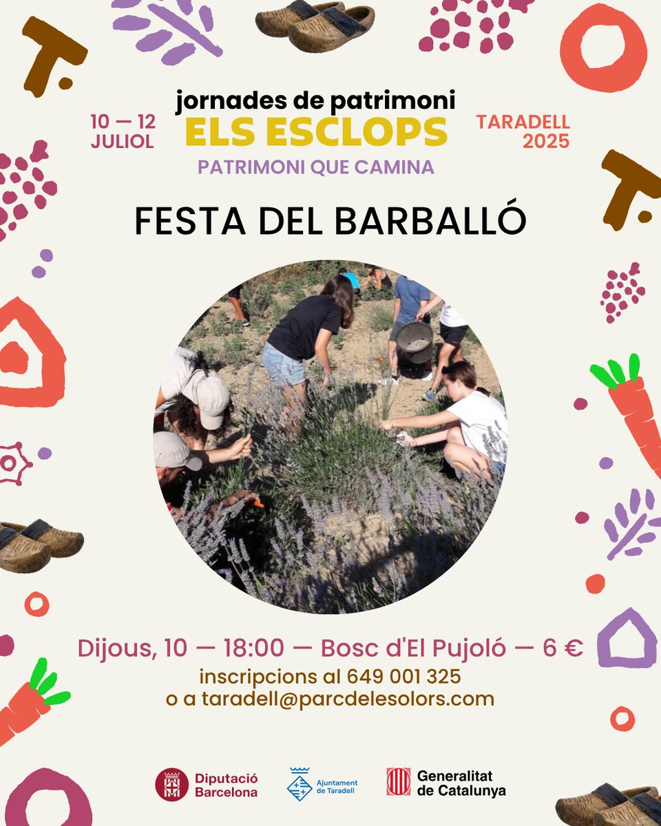 Bon dia! Avui comencen les Jornades de Patrimoni a #Taradell, amb la  recollida de #barballó per fer les atxes de reis! Recordeu, tota la  programació la teniu a taradell.cat/jornadespatrim….