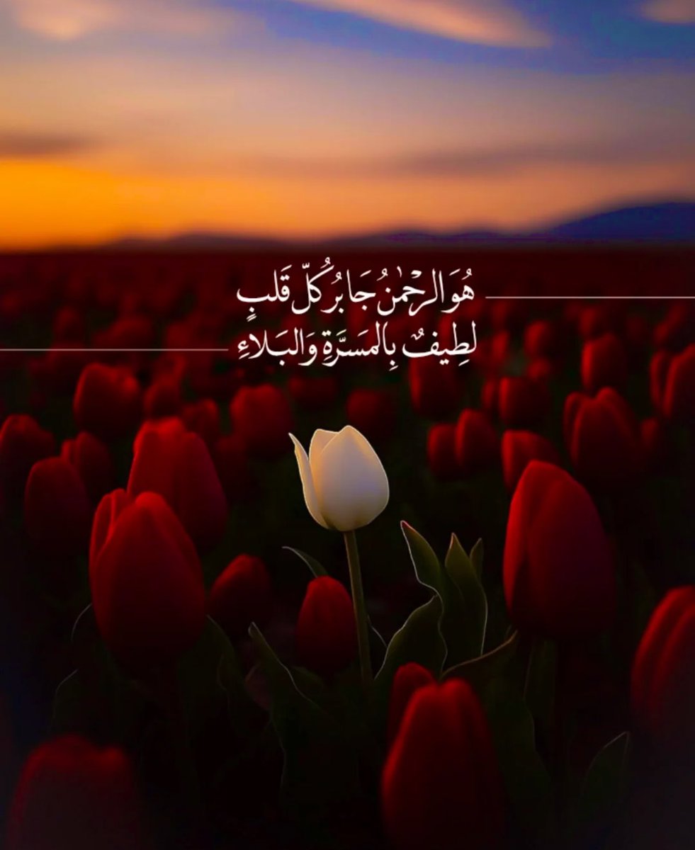 Noorr707's tweet image. هُوَ الرَّحمَـنُ جَابِرُ كلِّ قَلبٍ ❤️🩹
لَطِيفٌ فِي المَسَـرَّةِ وَالبَـلَاءِ. ✨
اللهم بك نتجاوز وبك نستعين وبك كل صعب من عثراتنا يلين 🥀
#الوتر 🍃
#بالاستغفار_خيرا_كثيرا