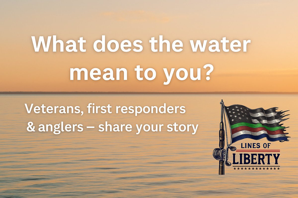 Lines of Liberty tweet media