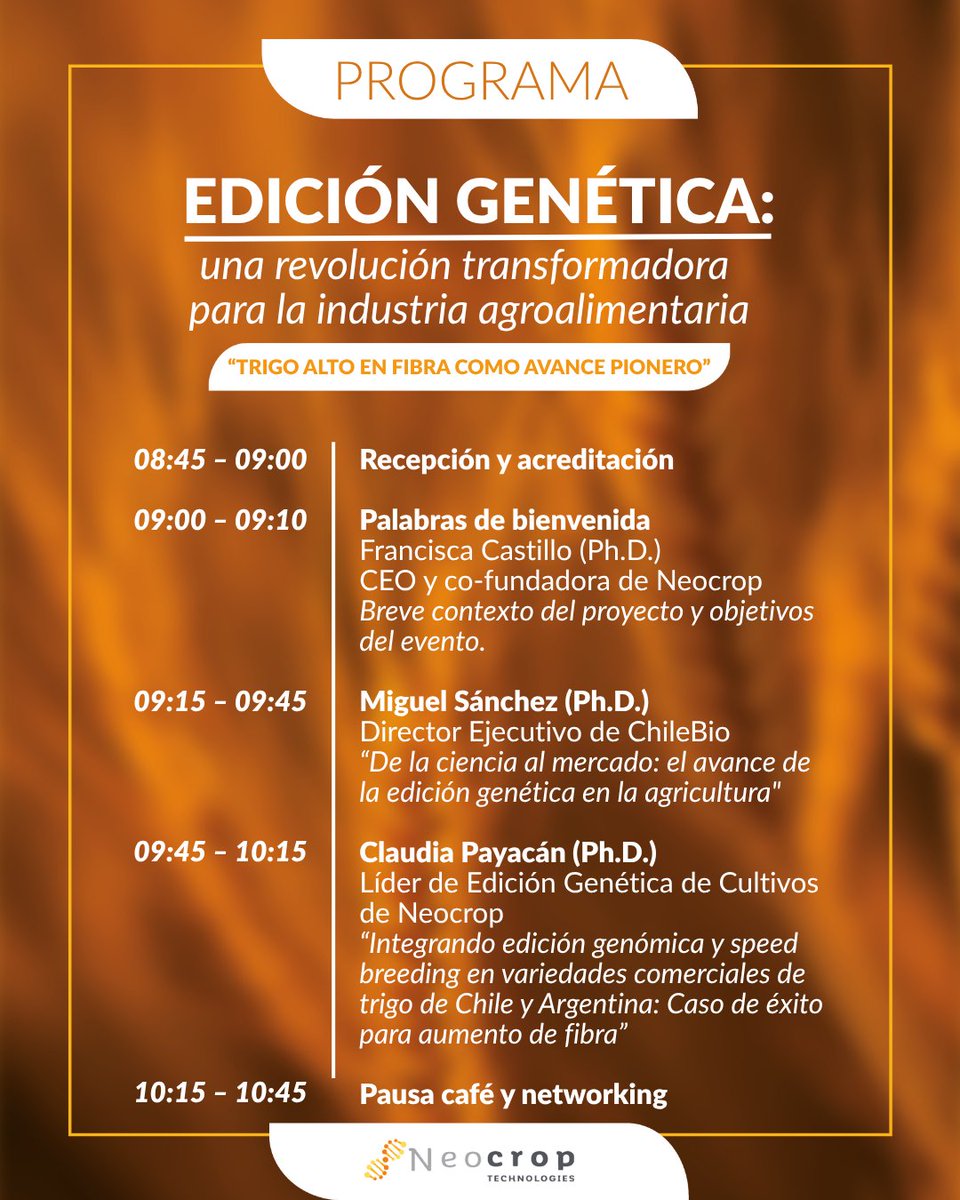 DanielNorero's tweet image. Este 15 de julio, expertos de Chile 🇨🇱 y Argentina 🇦🇷 se reunirán en #Valdivia para analizar los avances y aplicaciones de la edición genética en el #trigo y otros cultivos 🧬🍞🌱 diariodevaldivia.cl/noticia/actual… | 📝 Inscripción [evento presencial]: docs.google.com/forms/d/e/1FAI…