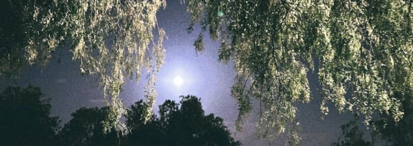 ذكرتك تحت قمرا في ديارٍ مابها طرياك 
ولمح بالذاكره وجهك عسى الأيام تأتي به .