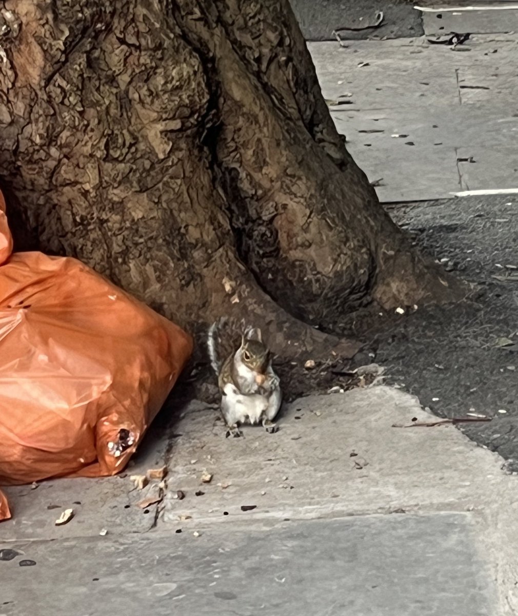Extraordinary sight in the City of London - Cornhill, 8.30pm last night #cityoflondon #london