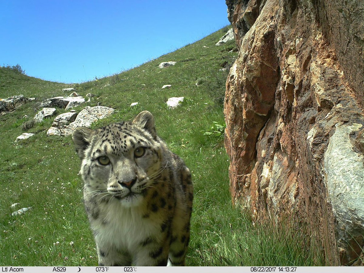 Trail_Cams's tweet photo. https://t.co/fZ4Vw8TjGt