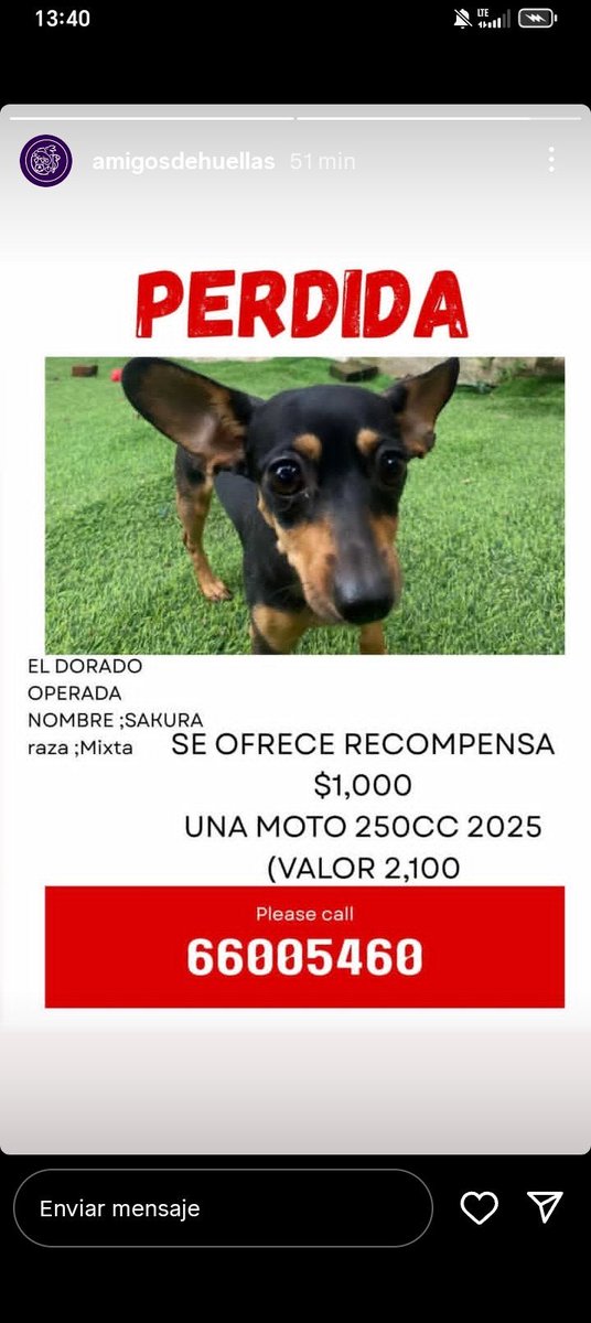 PEDIMOS POR FAVOR QUE COMPARTAN ESTA INFORMACIÓN!!! 
Ayudemos a encontrarla⬇️⬇️