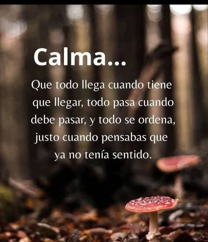 CALMA...