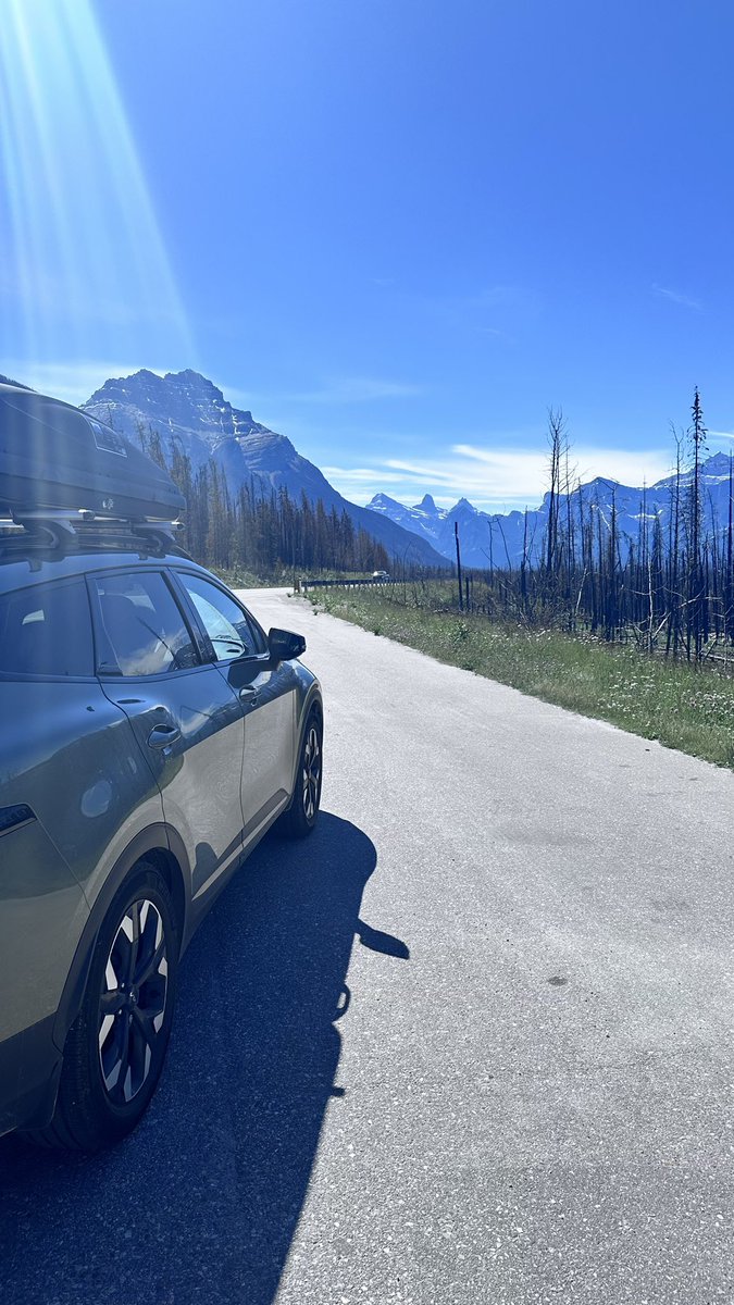 The best drive of the entire trip - Jasper to Banff.