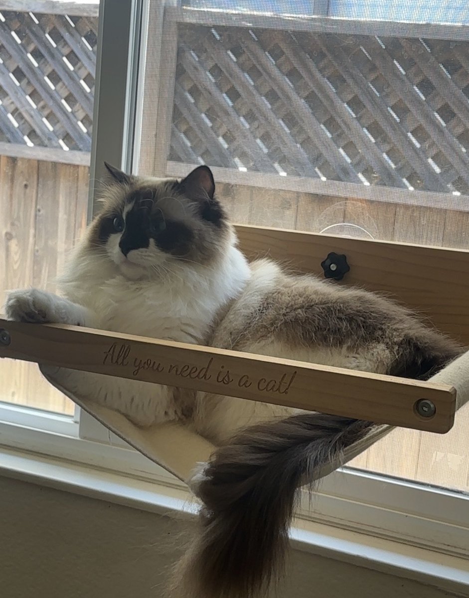 NextLuna tweet media