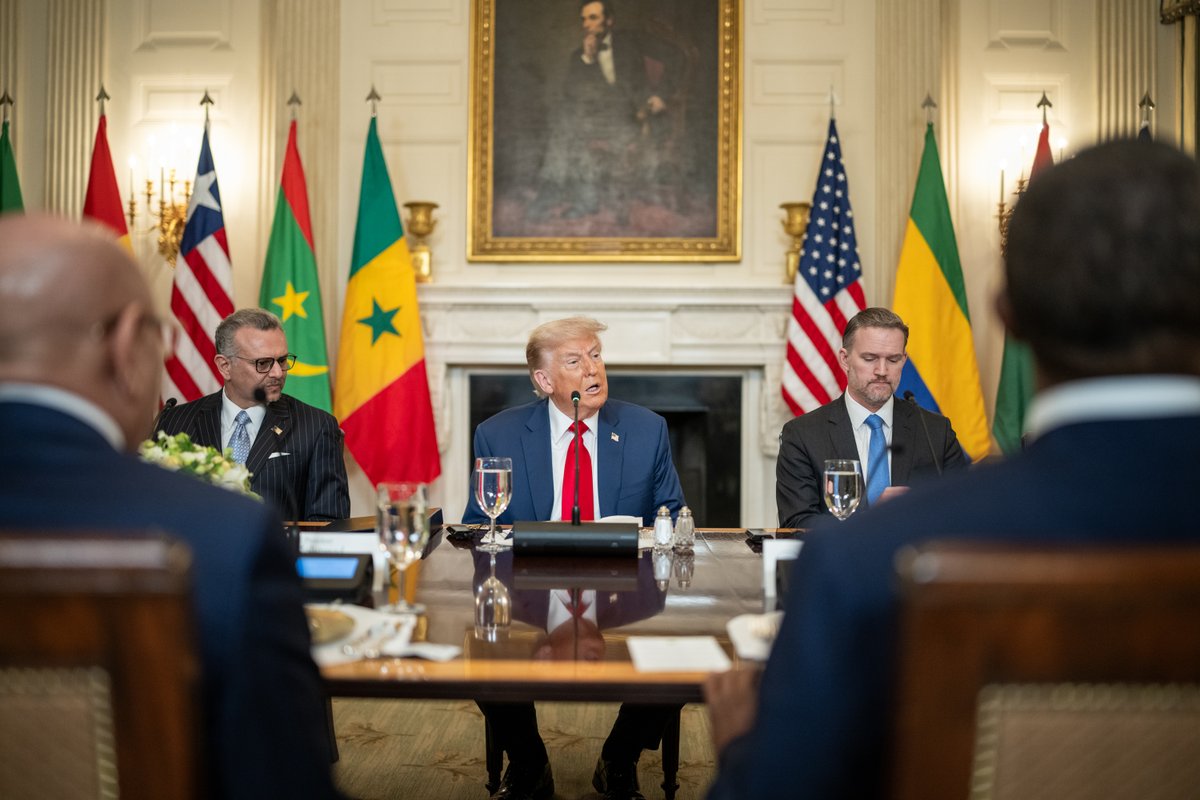 President Donald J. Trump at a Multilateral Lunch with African Leaders:

"We have closed the USAID group to eliminate waste, fraud, and abuse... and we're working tirelessly to forge new economic opportunities involving both the United States and many African nations."
