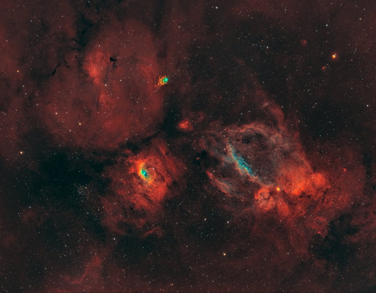 DerekFoster's tweet image. Bubble and Lobster Claw Nebula in widefield, taken from my back garden using Redcat 51 scope.