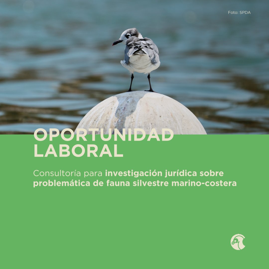 👩🏽‍💻👨🏽‍💻 #OportunidadLaboral | Buscamos los servicios de consultoría para la investigación jurídica sobre la problemática vinculada a hábitats de fauna silvestre.

➡ Postulaciones hasta el 16/07/2025
➡ TDR: bit.ly/3IdDhzt