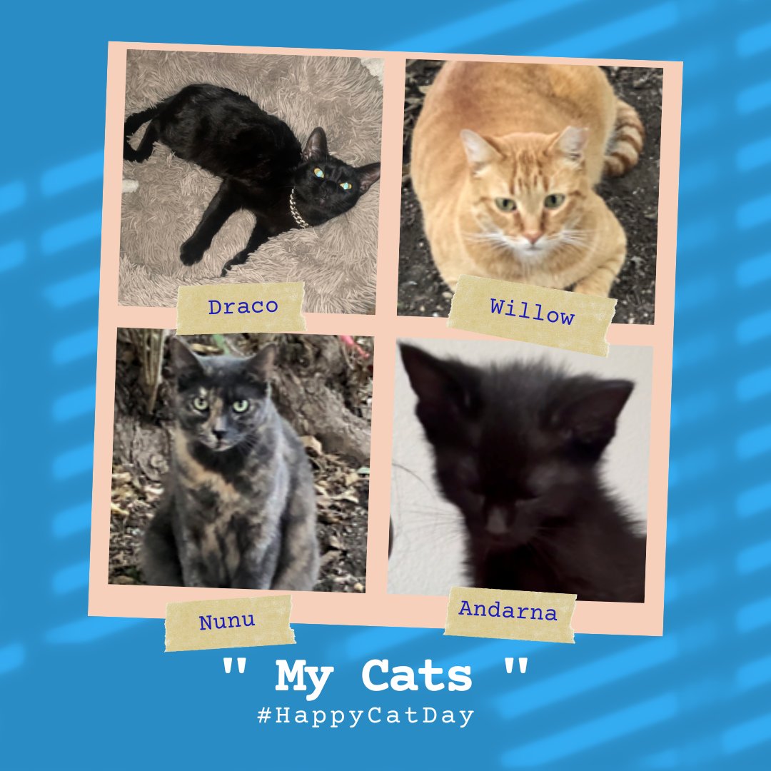 🐾It's National Kitten Day, and we couldn't resist shairing some of our team's cutest coworkers! 🐱✨ Now it's your turn--comment below with a photo of your furry friend so we can celebrate your kitties too! #KittenDay #CatsofProjectQUEST