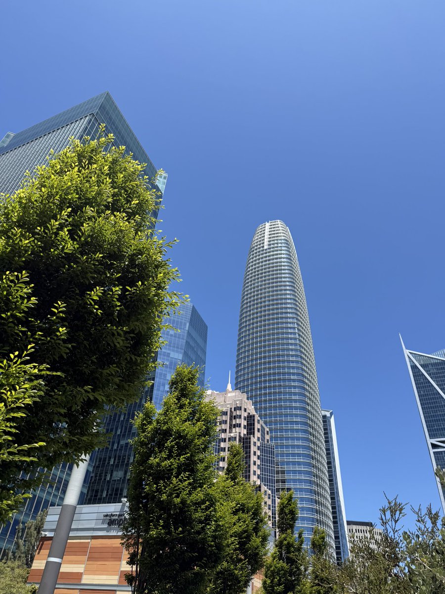 TheHatchAgency's tweet image. Summertime in San Francisco is the perfect season to explore Salesforce Park, where Hatchlings gathered to enjoy their lunches together.☀️☀️