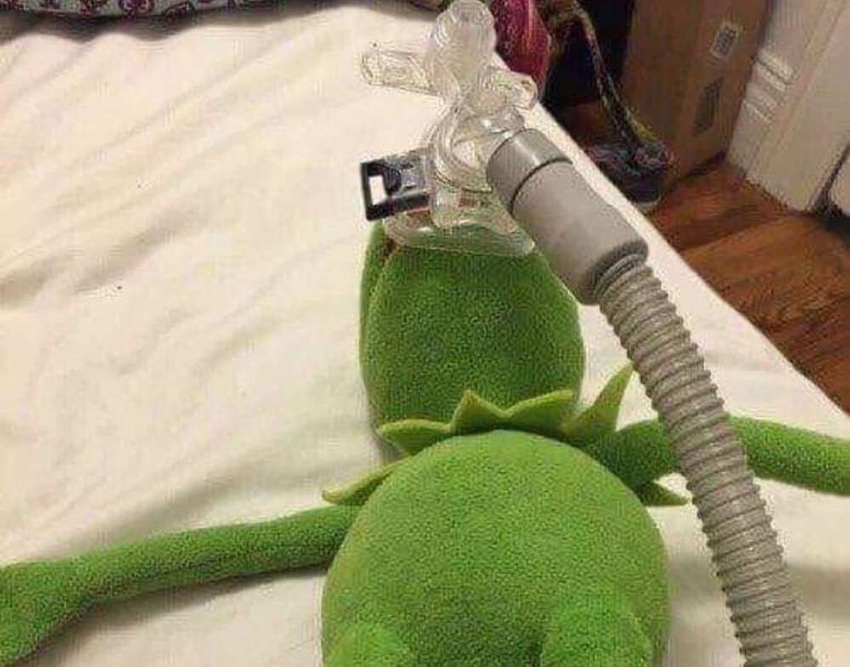 ShindeNgg's tweet image. 10-10 

#VCLLatam