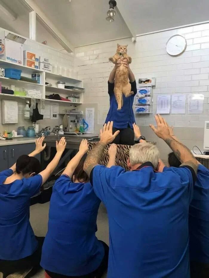 Единственная истинная религия