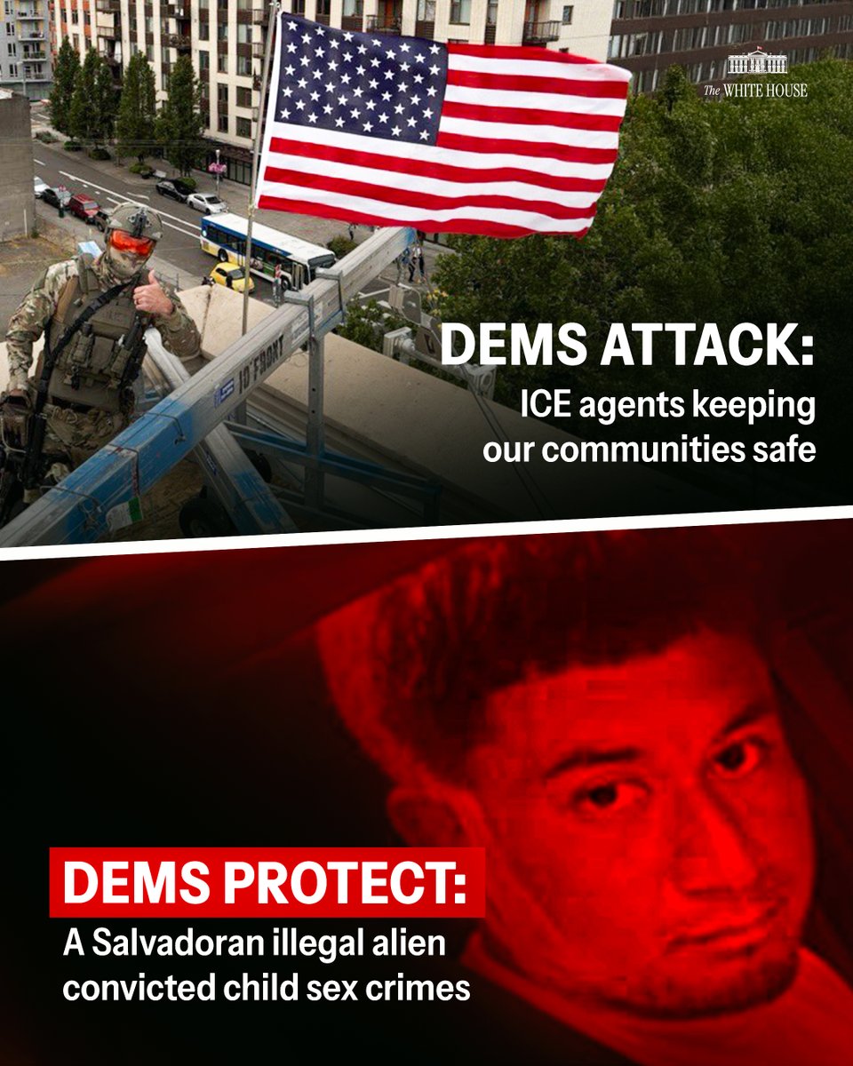 Dems ❤️ Illegal Aliens