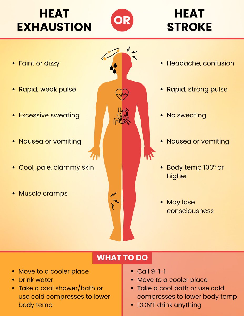 VCHumanServices's tweet image. Extreme temperatures can lead to heat exhaustion and heat stroke. Both of these heat-related conditions can result in organ damage and even death if not treated quickly. Please review the graphic below to learn the symptoms of heat illness and what to do in case of emergency.