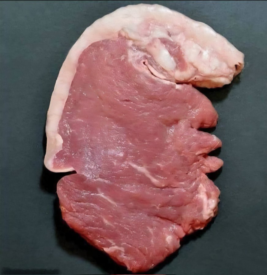 MarcoCalia1's tweet image. Beef  🍖 for 🌮