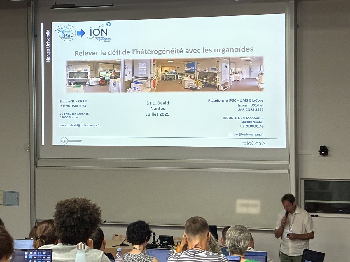 GDR Organoïdes tweet media