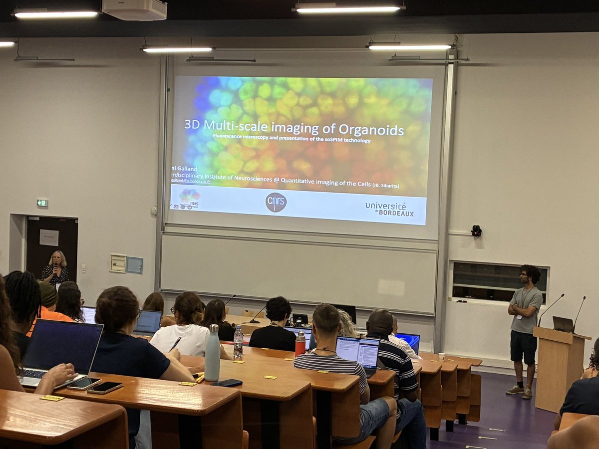 GDR Organoïdes tweet media