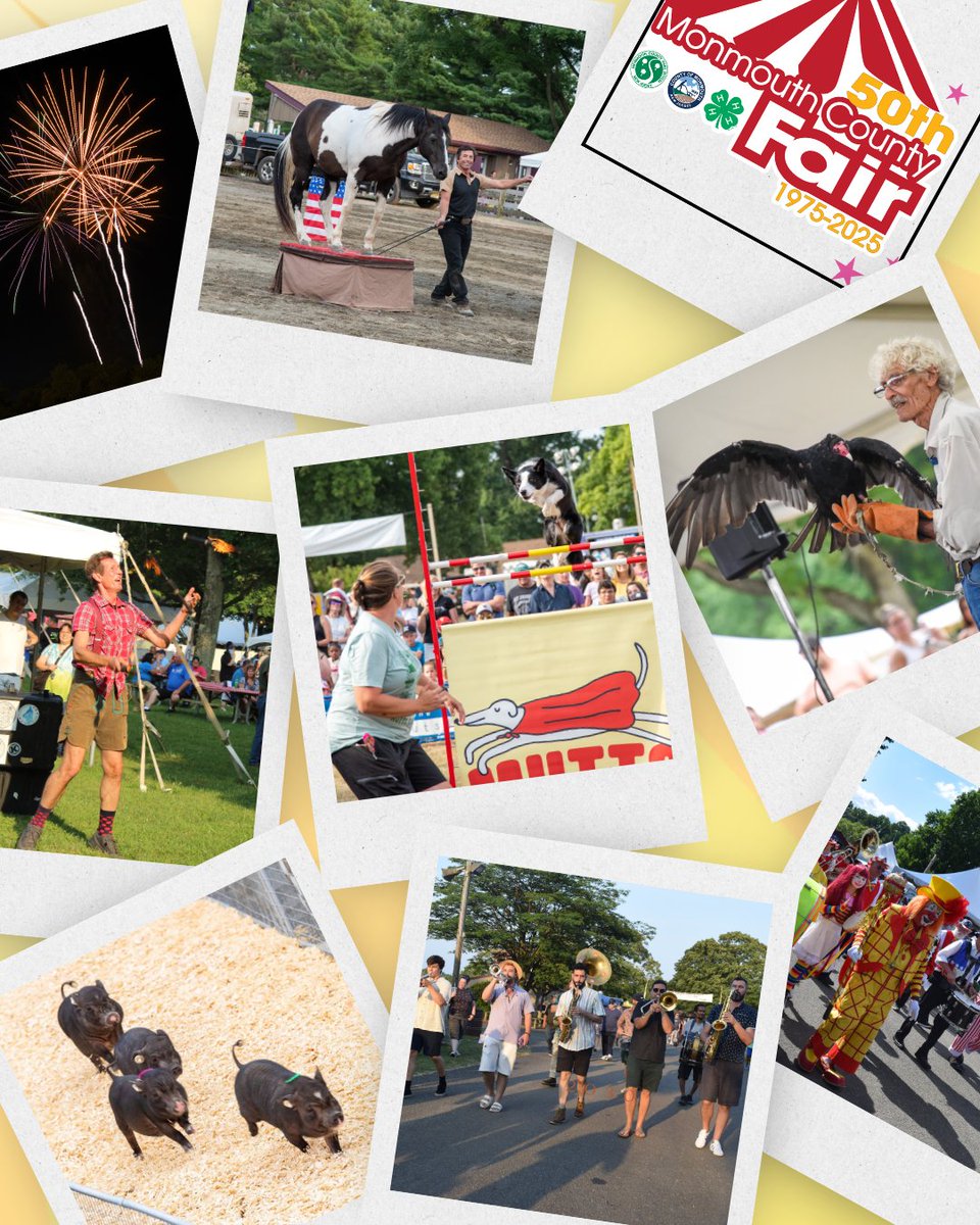 We're only TWO weeks away from the Monmouth County Fair!
Don't miss all your returning favorites, including Mutts Gone Nuts🐕️⁠,  Bwana Jim's Wildlife Show🐍⁠, Hilby the Skinny German Juggle Boy🤹⁠, Robinson's Racing Pigs🐖, and more!
Get details at MonmouthCountyFair.com.