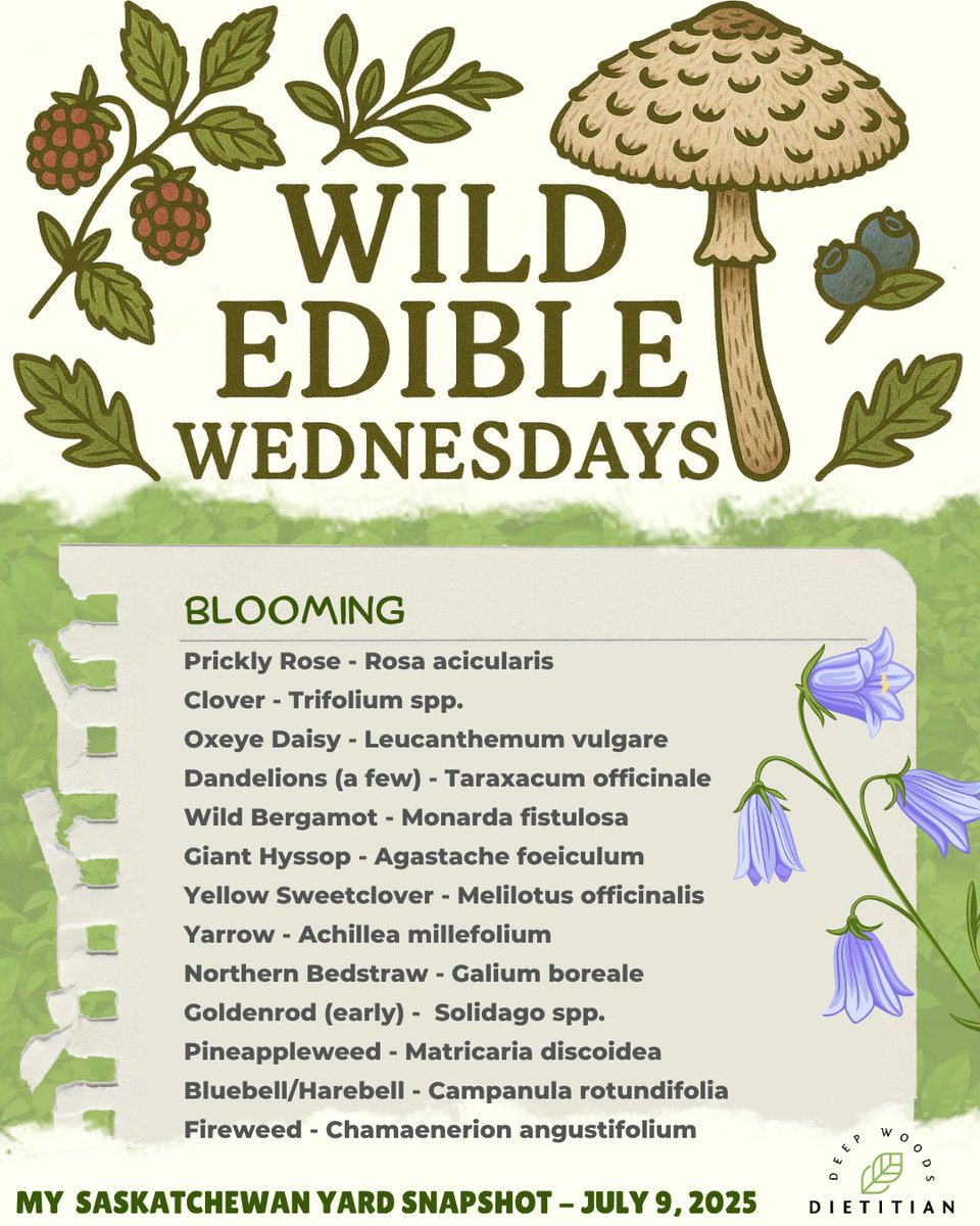 Pamela Huerto tweet media