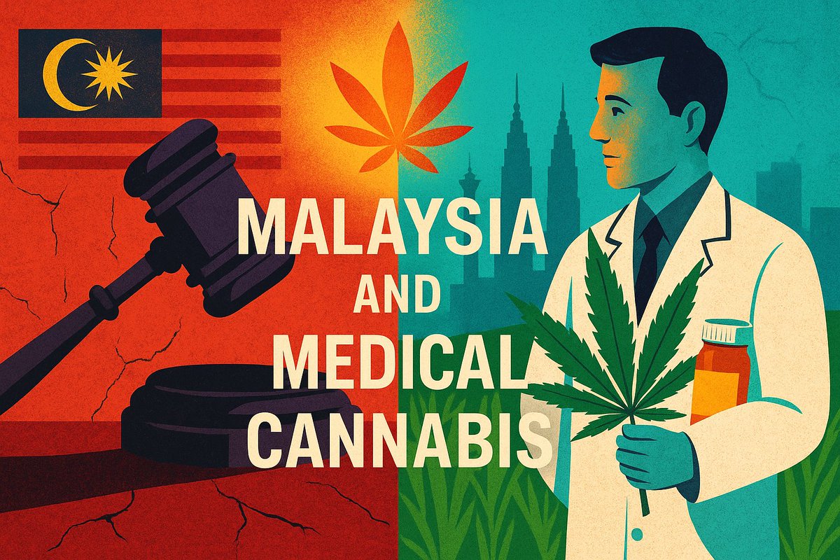 Malaysia is opening the door but will it ever walk through it? 🇲🇾
After decades of harsh prohibition, Malaysia is finally reviewing applications for cannabis-based medicines. But without clear laws for cultivation, prescribing, or distribution, the country risks being left behind