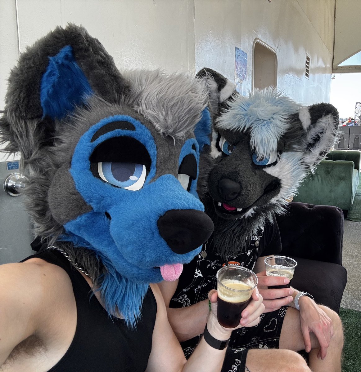 These Espresso Martinis were a bit pricey, good times with floofy Paylay though…PRICELESS 🍸