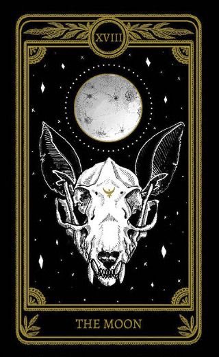 AuthorMDHarding's tweet photo. THE SANDMAN X SLEEPING BEAUTY 

“Beware the shadows,cher—they whisper your name." Rory is falling, drawn deeper into a world that feels more alive than her own. Her dreams are not just dreams, and a dark presence awaits. Uncover the truth in WhenShadowsTouch 

#UnhingedPit #dark https://t.co/YIar67G7G4