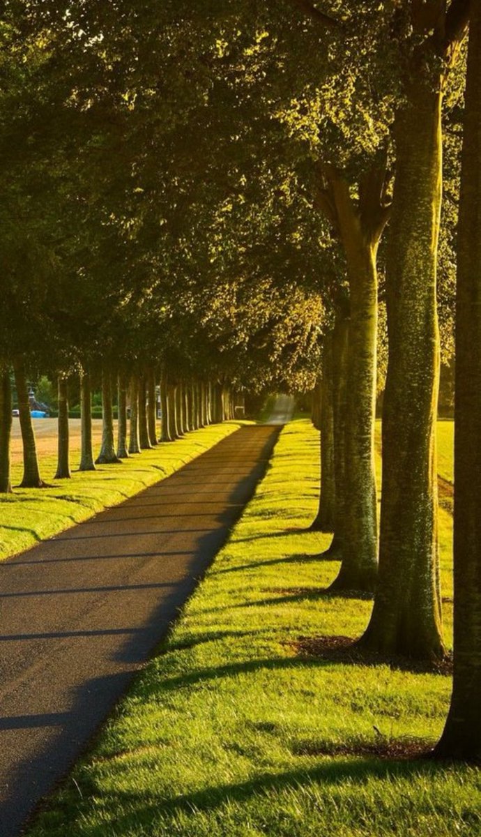 “İşlerinizi gizli tutarak onların ilerlemesini sağlayın. Çünkü her nimet sahibi kıskanılır.”

(Hz. Muhammed s.a.v)